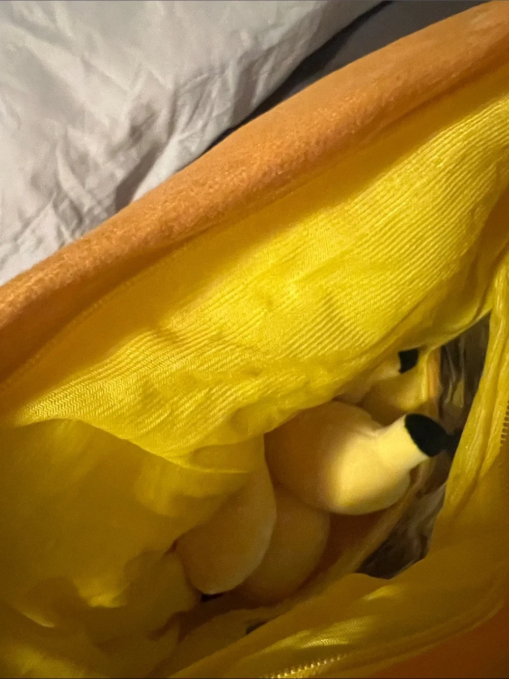 Pokemon Pikachu Zip up peek a boo pika pillow